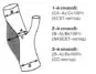 carotid